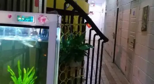 Qingdao Lianzi Youth Hostel