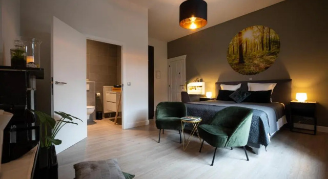 Номер Standard B&B Gaudium XII