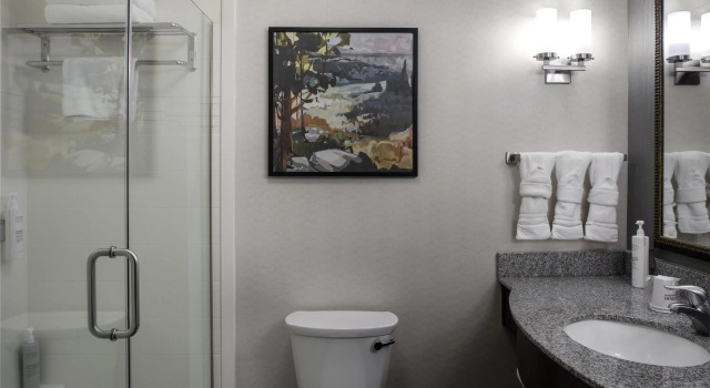 Номер Standard Hilton Garden Inn Denison/Sherman/At Texoma Event Center