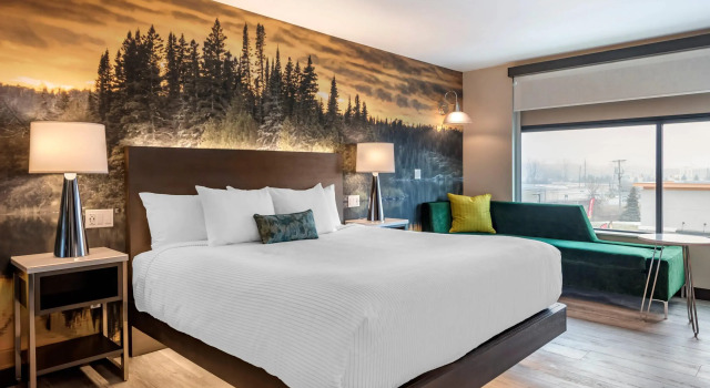Двухместный номер Standard Отель Cambria Hotel Shelby Township - Detroit Utica