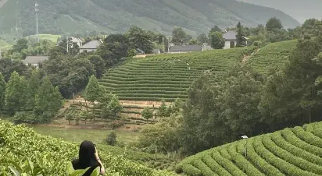 Hanshe Homestay · Banshan Fuyun Bamboo Forest Creek Villa (Anji Canglong Baipu Rafting), Prenota Villa Huzhou Zhejiang
