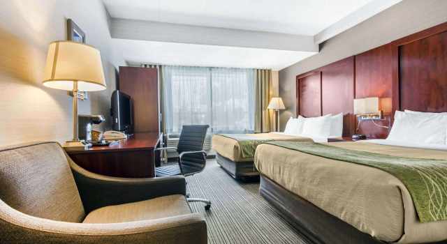 Четырёхместный номер Standard Comfort Inn & Suites