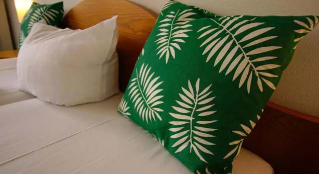 Двухместный номер Classic Hotel Tannenhof Haiger