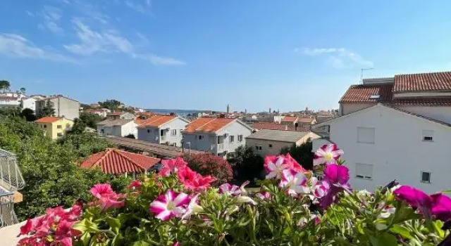 Номер Standard Apartmani Zorica