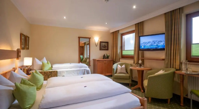 Номер Standard Hotel Garni Erler