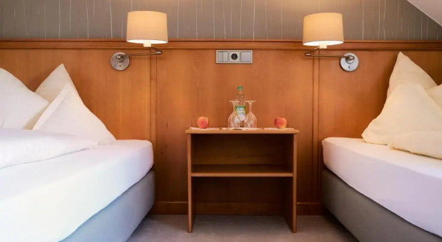 Двухместный номер Standard Hotel Alter Wirt