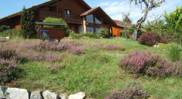 Номер Standard B&B Chalet lEpinette