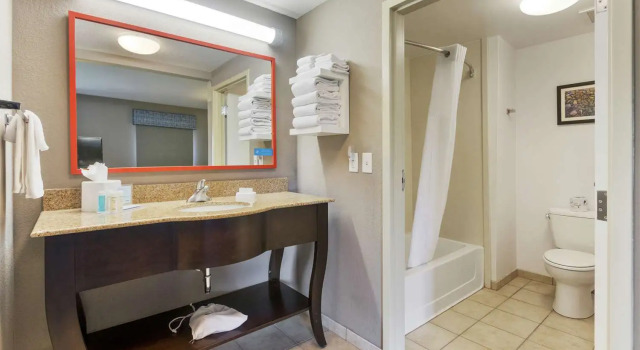 Студия Hampton Inn & Suites Orlando-Apopka