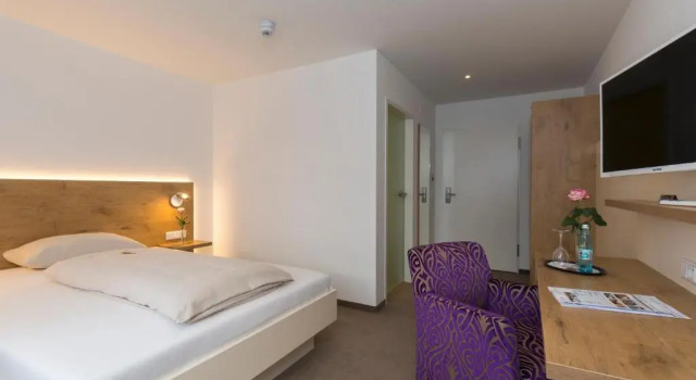 Одноместный номер Standard Hotel Hirsch