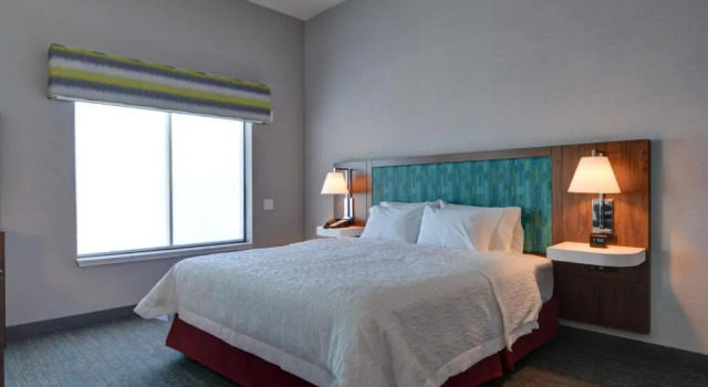 Номер Standard Hampton Inn & Suites Middleburg