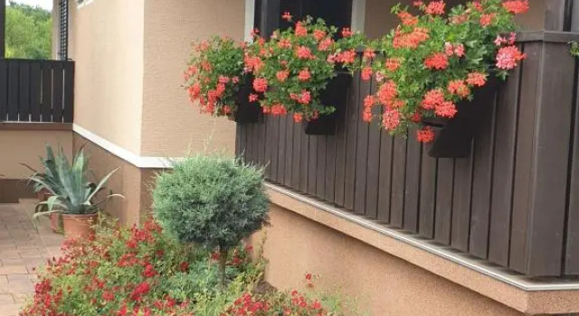 Guest Accommodation Marko Kesić, Book Pension Rakovica Karlovac county