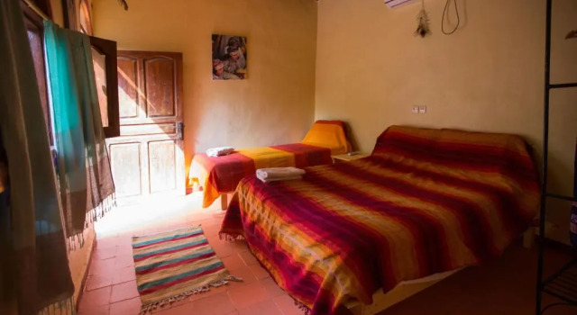 Номер Standard Ecolodge La Palmeraie