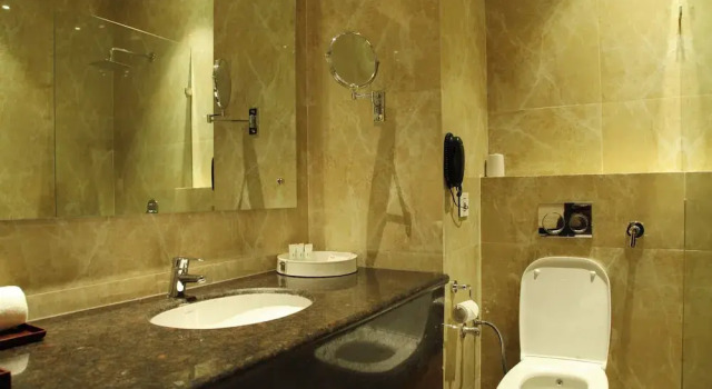 Двухместный номер Executive Hotel WJ Grand