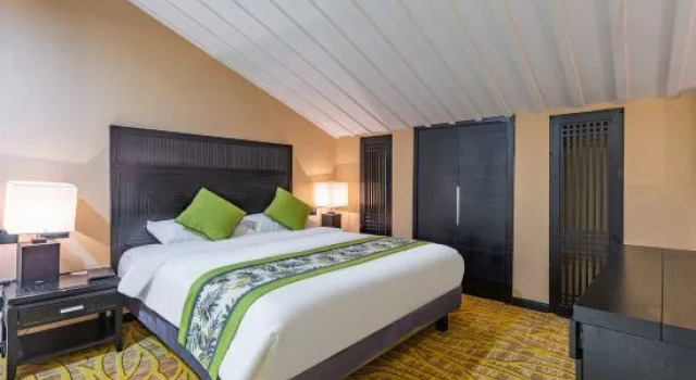 Люкс Дуплекс Metropark Longhua Hotel