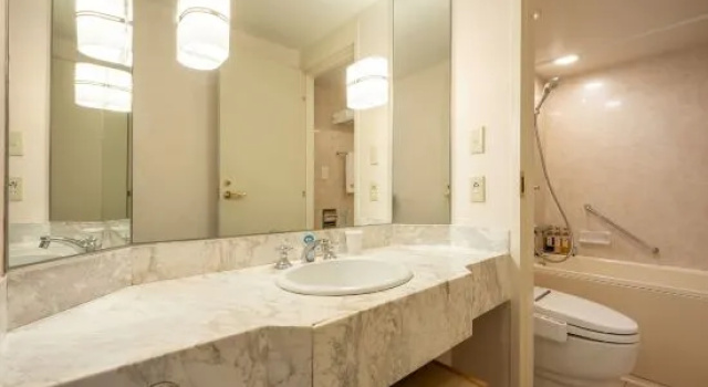 Номер Deluxe Iwaki Washington Hotel
