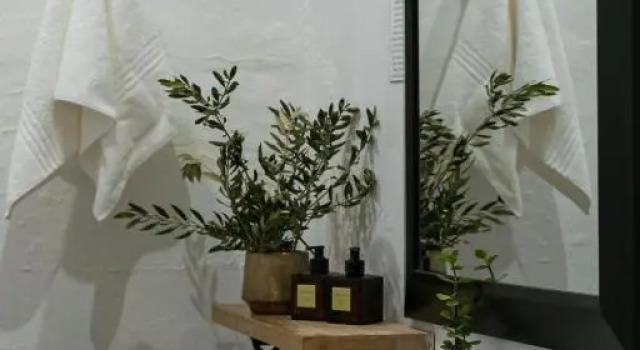 Двухместный номер Superior Sweetfontein Boutique Farm Lodge