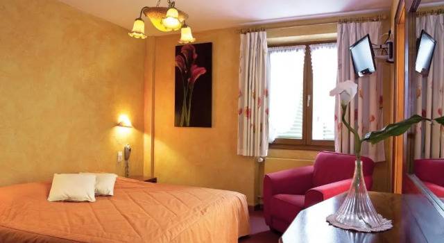 Номер Standard Hôtel A la Vignette - COLMAR-NORD