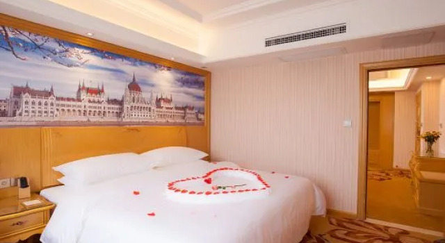 Люкс Business Vienna International Hotel (Changsha Railway College Linke University Subway Station)