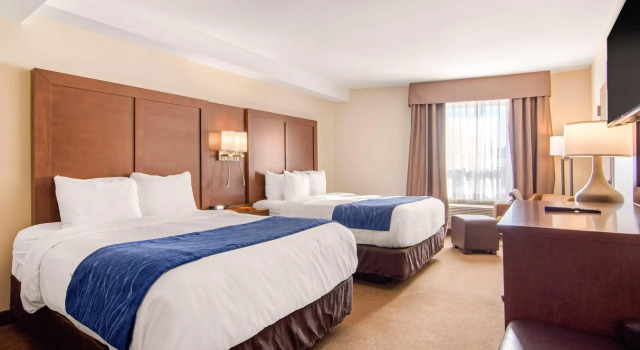 Четырёхместный номер Standard Comfort Inn & Suites