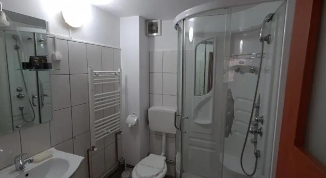 Двухместный номер Standard Pensiunea Aurora - Great hostel Voineasa