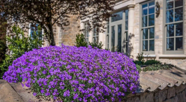 Washingborough Hall Hotel, Забронировать Отель Бизнес-отели Англии, 4* 5*