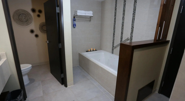 Двухместный люкс Holiday Inn Express & Suites Mexicali by IHG