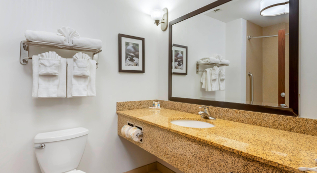 Четырёхместный люкс Comfort Suites Conference Center Rapid City