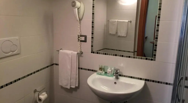Одноместный номер Standard Hotel Helvetia