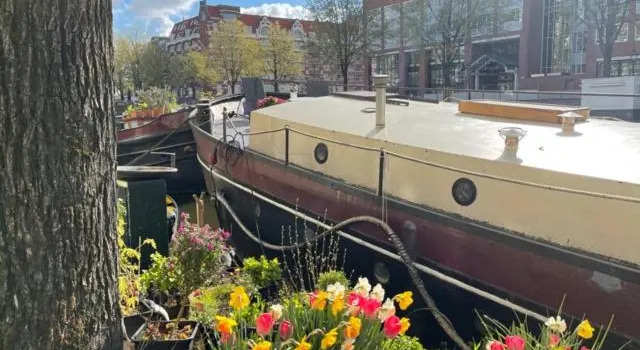 Номер Standard Romantic Houseboat