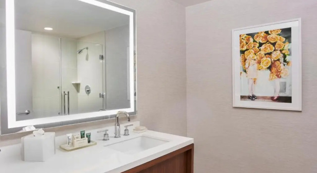 Номер Standard с видом на город Hilton West Palm Beach