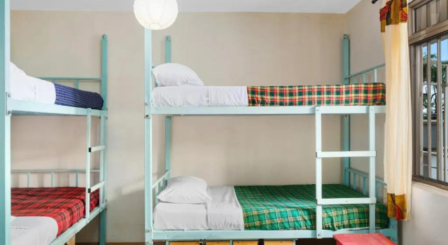 Letto in camerata Bushpig Backpackers