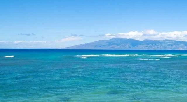 Номер Standard Kahana Reef #310 1 Bedroom Condo by RedAwning