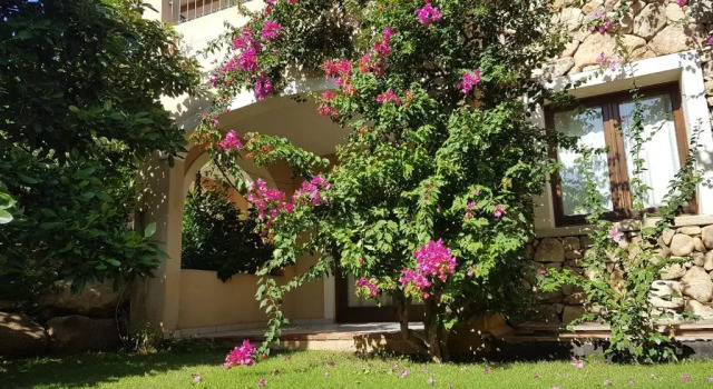 Полулюкс Hotel Mariposas