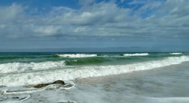 Sea Shell 14 - Premier