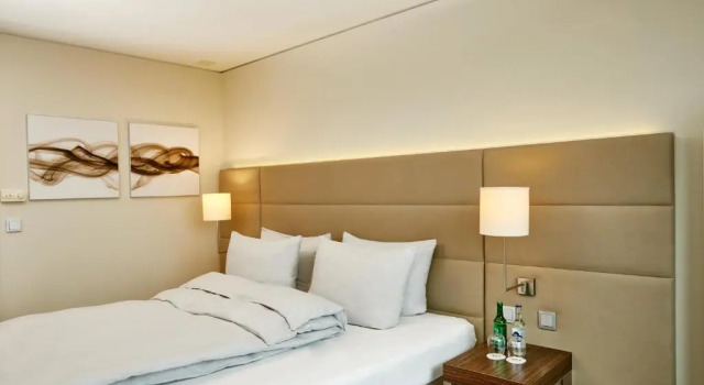 Двухместный номер Business H4 Hotel Solothurn