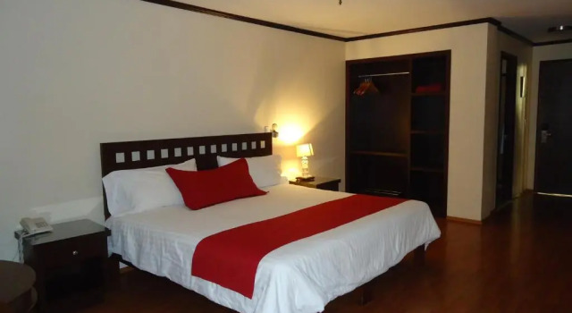Полулюкс Hotel Plaza San Carlos