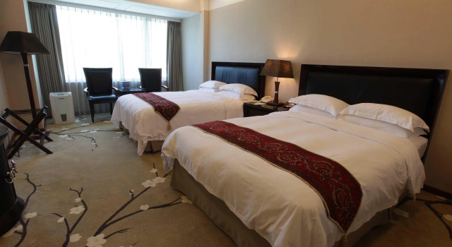 Номер Standard Art Spa Hotel