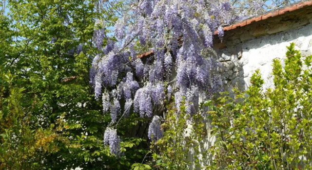 Коттедж Superior с 3 комнатами Gîtes de la Grande Ferme