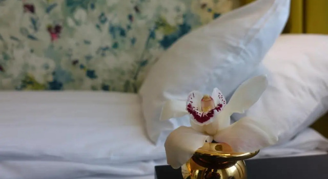 Одноместный номер Standard Thon Hotel Lofoten