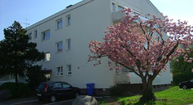 Апартаменты c 1 комнатой Ferienwohnung Schliestädt-Görge