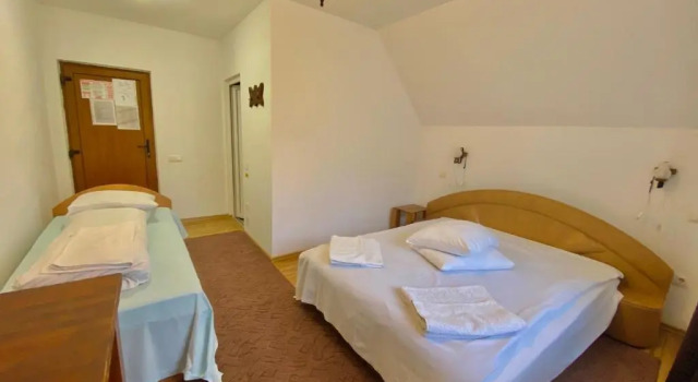 Pensiunea Irina, Rezerwuj Hotel Hotele w Carpathians - Romania z parkingiem, Parking
