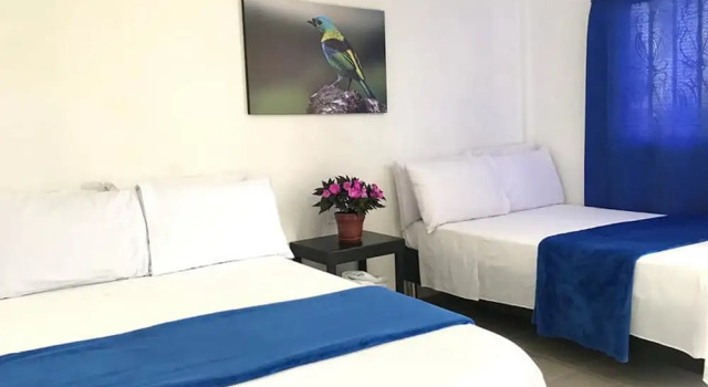 Finca Hotel Cabaña Fercho, Book Hotel Hotels in Santander with a Pool, Swimming Pool