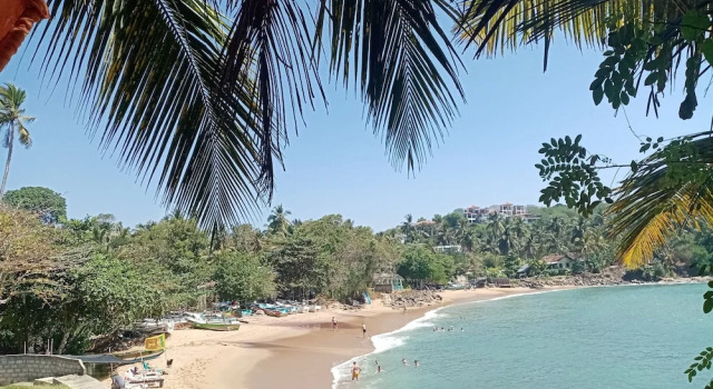 Surf Paradise Hotel