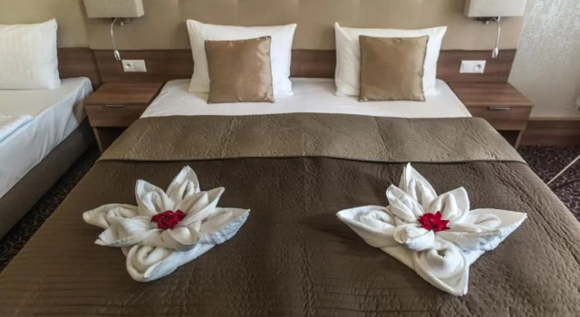 Номер Comfort Hotel Thermalpark