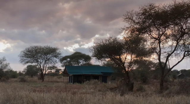 Двухместный номер Standard с видом на окрестности Nyikani Camp - Tarangire
