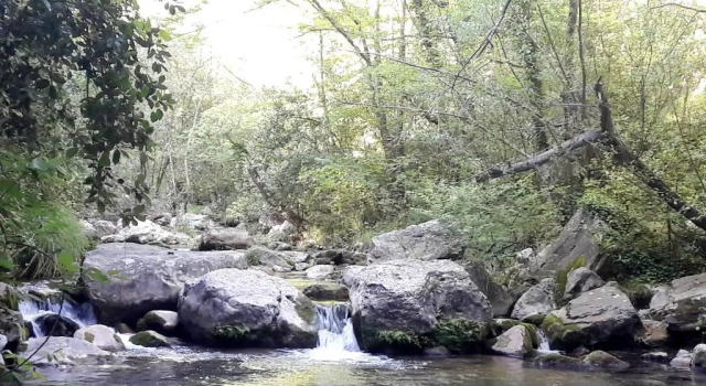 Holidays in Provence Alpes Maritimes