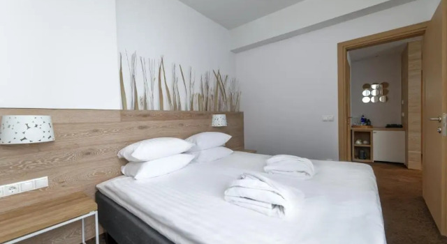 Номер Deluxe SPA VILNIUS Druskininkai