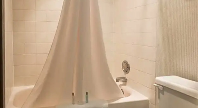 Четырёхместный номер Standard Cottonwood Suites Boise Riverside Downtown