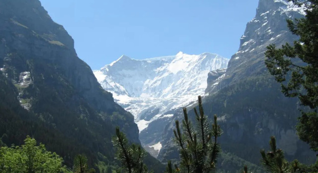 Апартаменты FERIENWOHNUNGEN Chalet Hohturnen