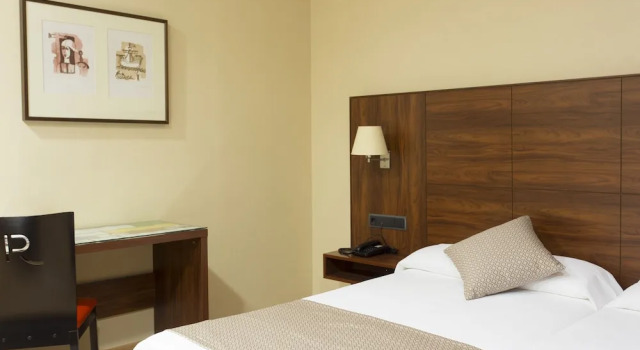 Одноместный номер Standard Sercotel Riscal